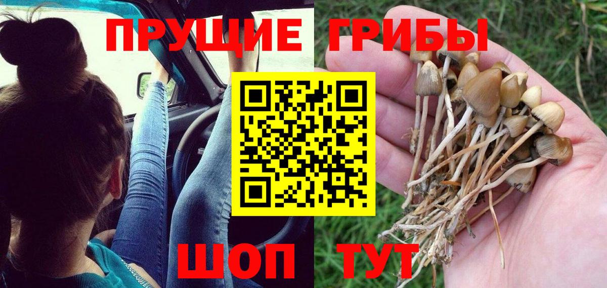 Тимашёвск  ГАШИШ  Вход с VPN  МДМА  Меф МЯУ МЯУ   Лсд 25  КОКАИН  Бошки Шишки 
