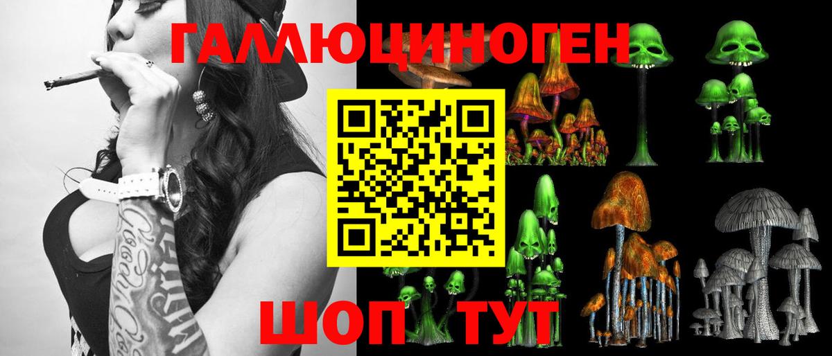 Псилоцибиновые грибы GOLDEN TEACHER  Галлюциногенные грибы Magic Shrooms  Вход с VPN  Тимашёвск 
